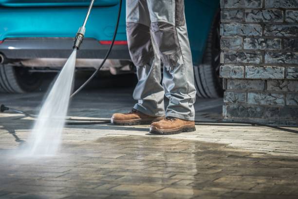 Best Roof Washing  in Elm Grove, WI