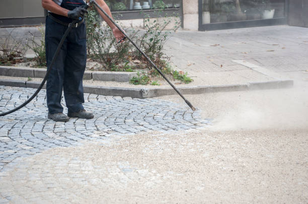 Best Spring Cleaning  in Elm Grove, WI